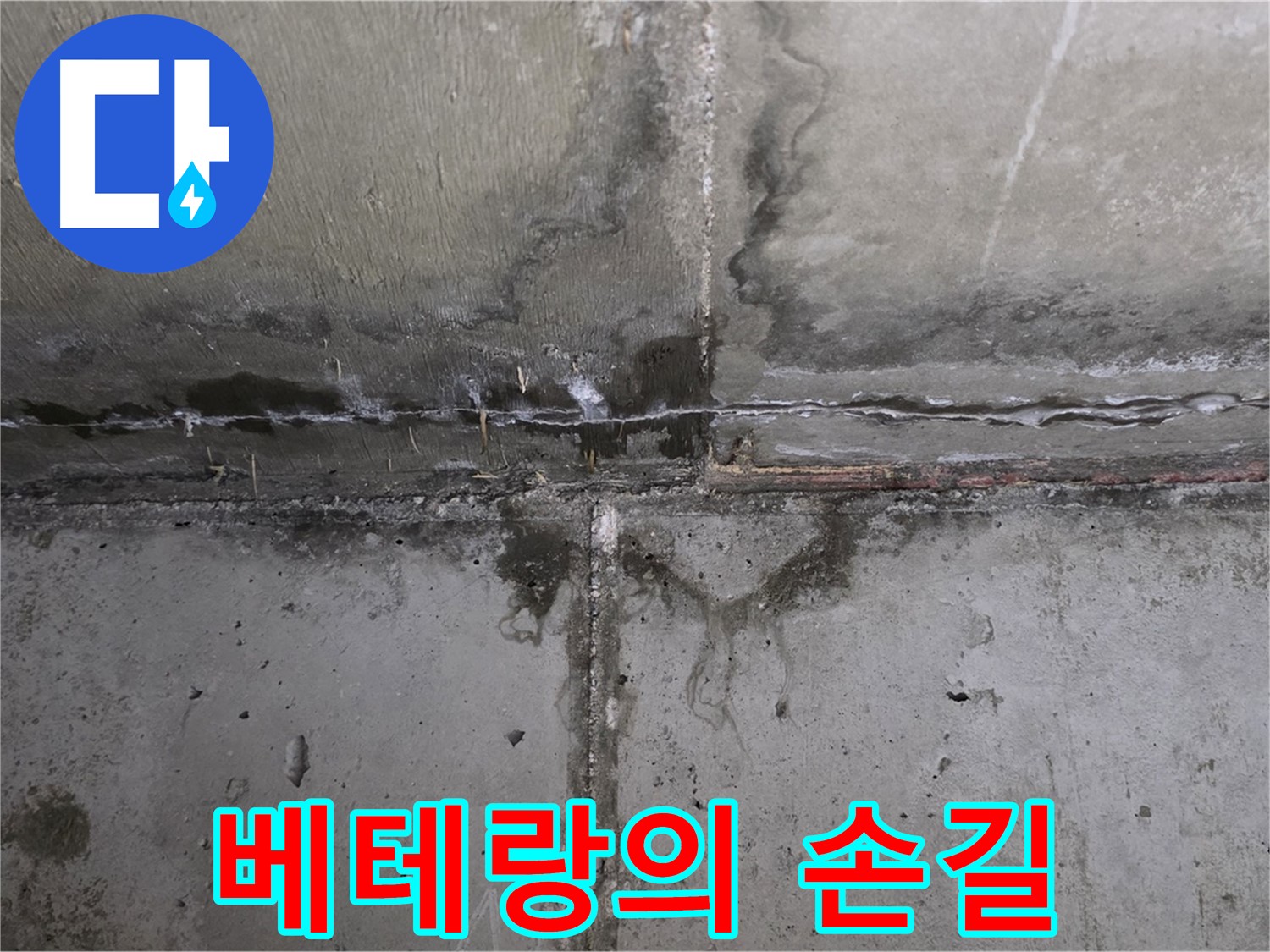 남양주 오남 두산아파트 누수 - 베테랑의 꼼꼼한 시공
