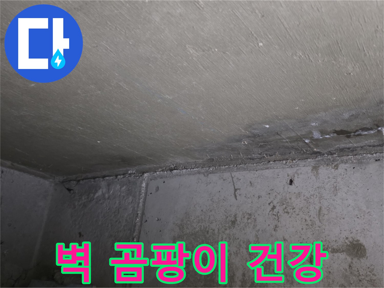 남양주 오남 두산아파트 벽 곰팡이 - 누수 해결이 우선