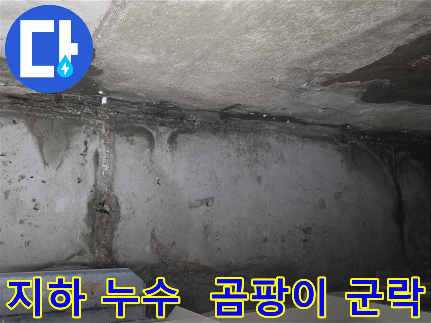 남양주 오남리 두산아파트 지하 누수 - 곰팡이 군락