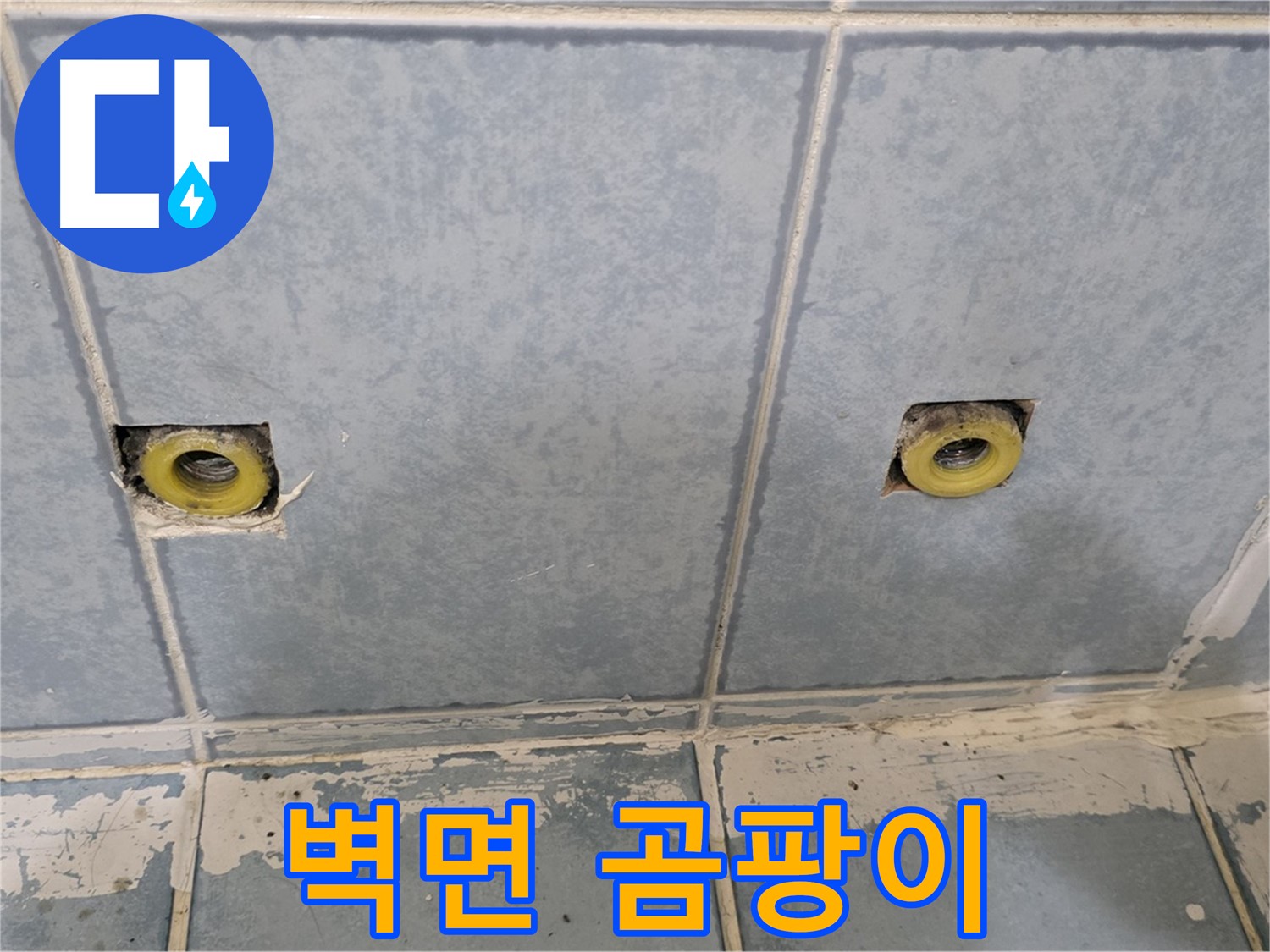남양주 오남읍 누수 - 샤워 수전 연결부 주변 벽면 곰팡이 상태 확인