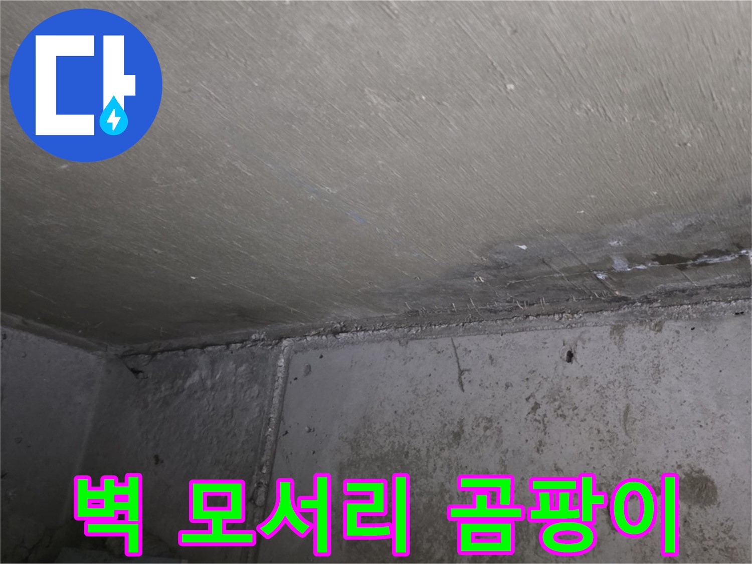 남양주 오남읍 두산아파트 벽 모서리 곰팡이 - 심각한 누수 의심
