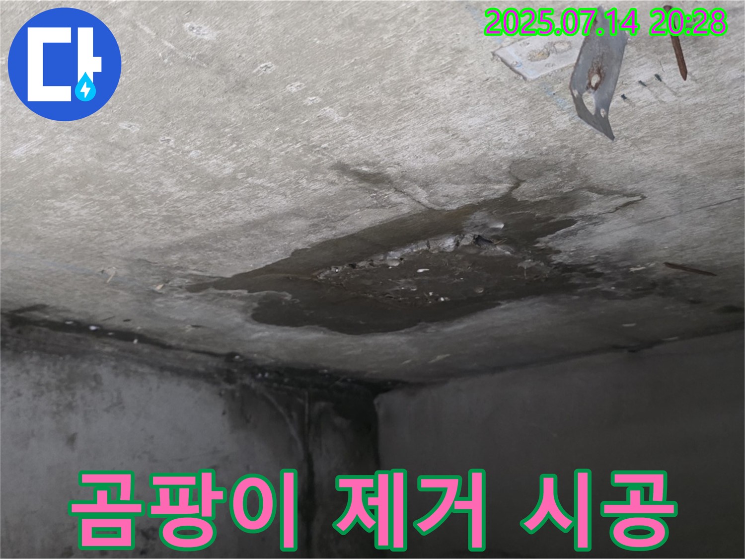 남양주시 오남읍 두산아파트 누수 - 콘크리트 천장 누수, 누수 부위 주변 곰팡이 제거 작업