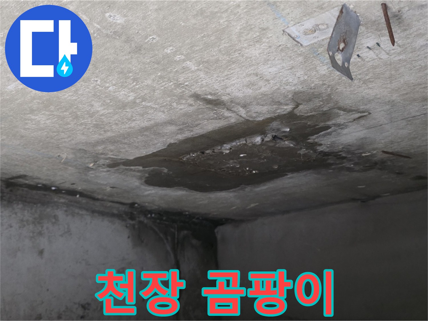 아래층 화장실 천장 곰팡이 - 누수로 인한 습기