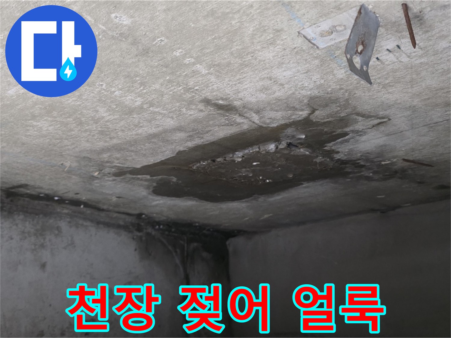 젖어 얼룩진 콘크리트 천장 - 남양주 오남 누수