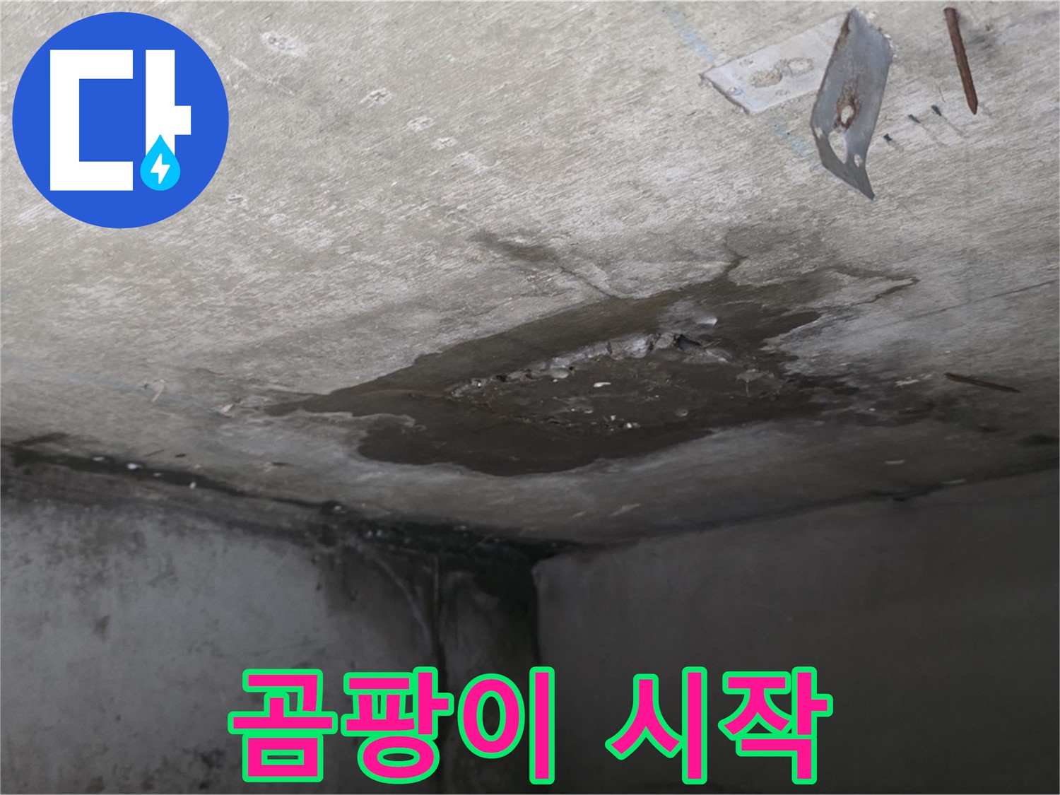 콘크리트 표면 곰팡이 시작 - 남양주 오남 누수