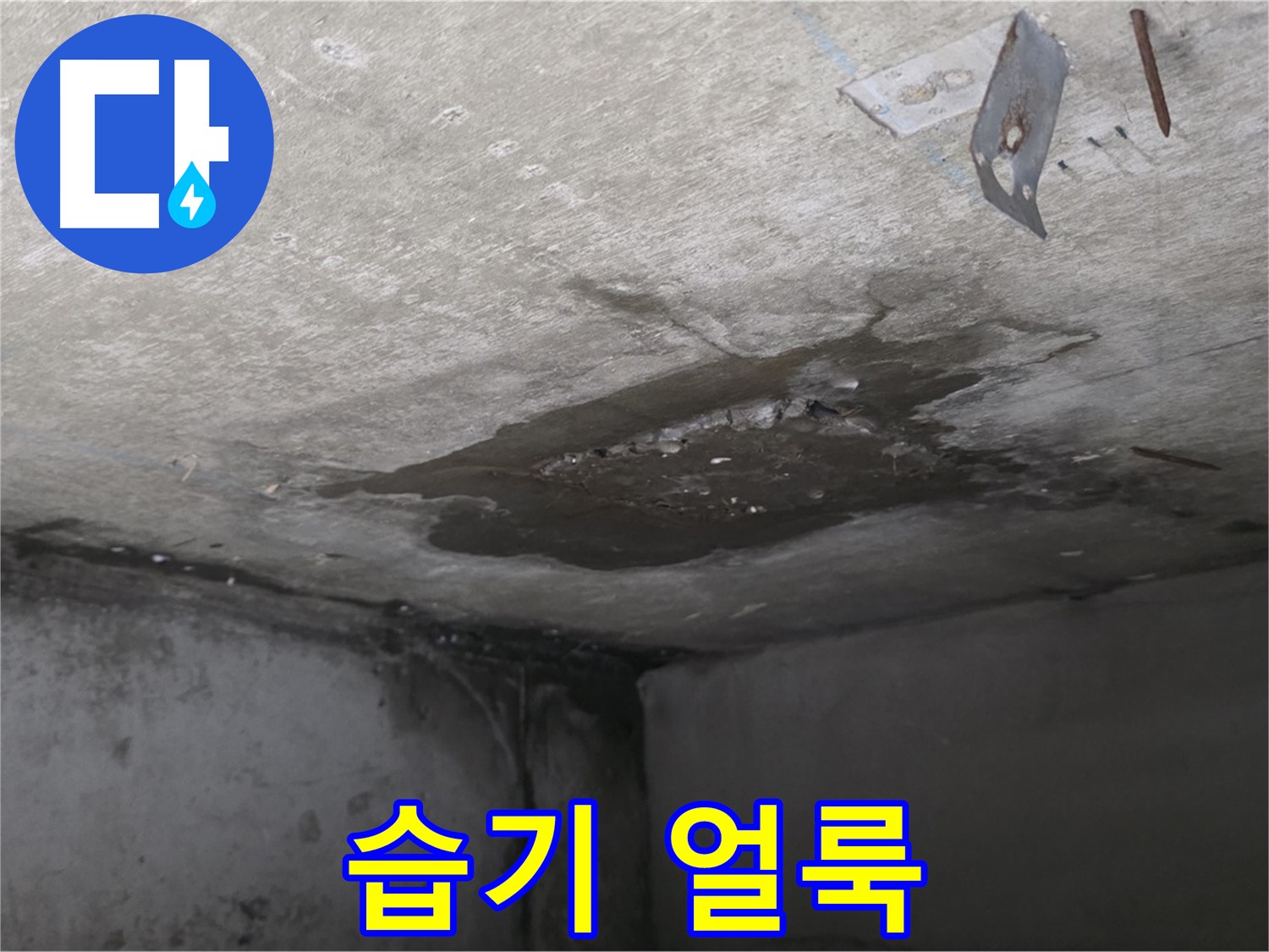 콘크리트 표면 습기로 인한 얼룩 - 남양주 오남 누수