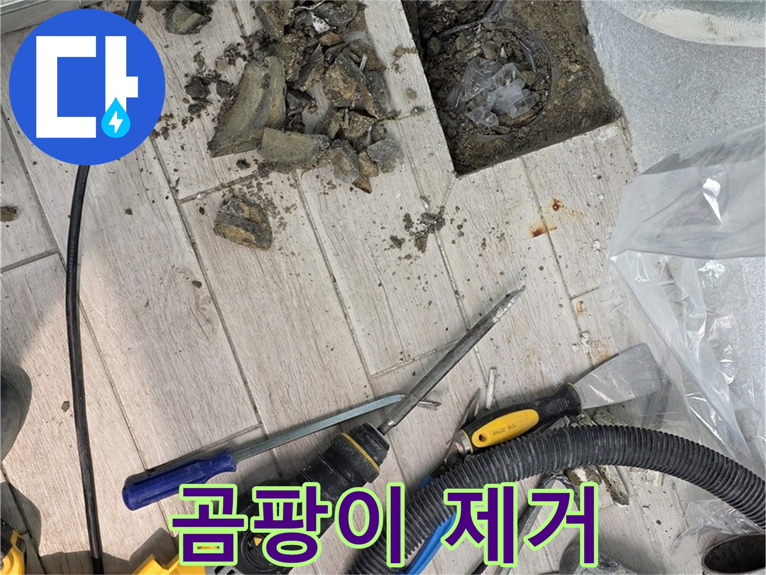 굴착 후 곰팡이 제거 작업 - 습기와 건강 문제