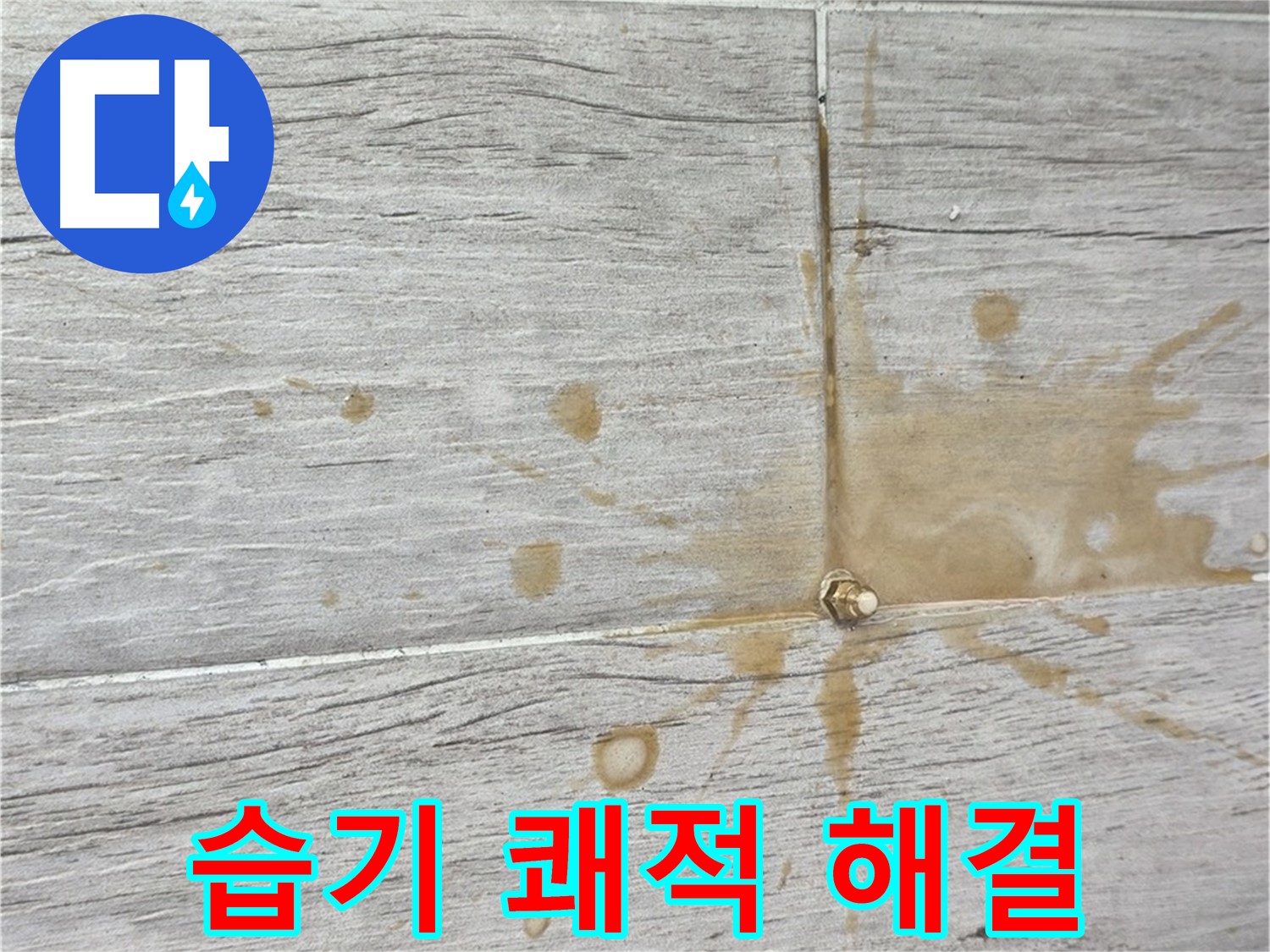 마루 아래 습기 - 곰팡이 걱정? 인젝션 방수로 쾌적하게 누수 해결