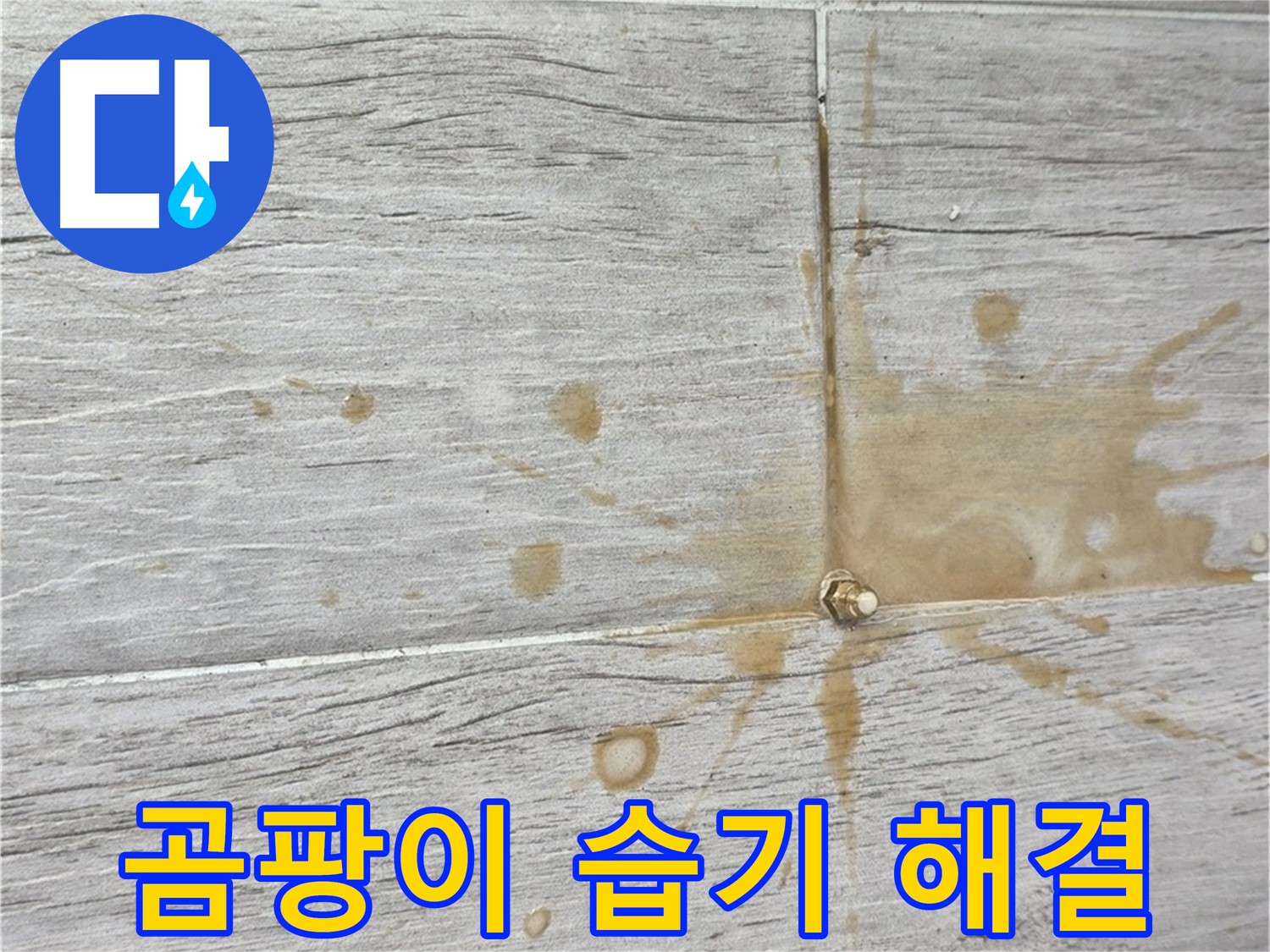 마루 틈새 곰팡이 - 인젝션 방수로 곰팡이와 습기 한 번에 해결