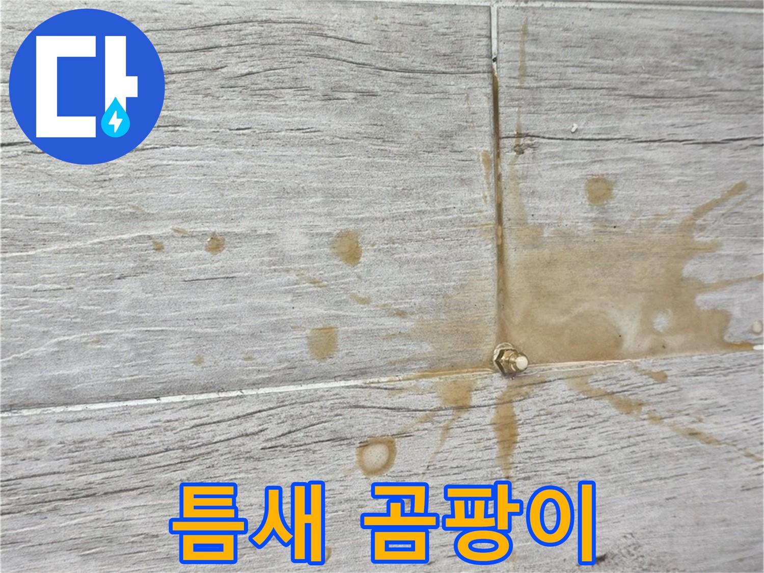 마루 틈새에 곰팡이가 핀 모습 - 인젝션 방수로 깨끗하게