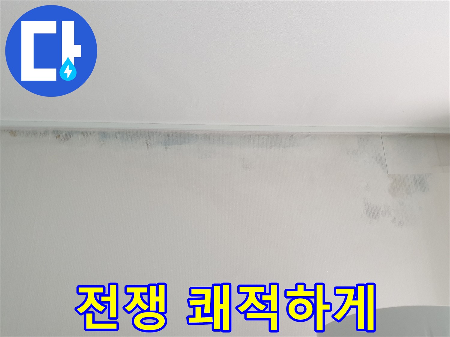 중계2동 청구3차 곰팡이 - 곰팡이와의 전쟁