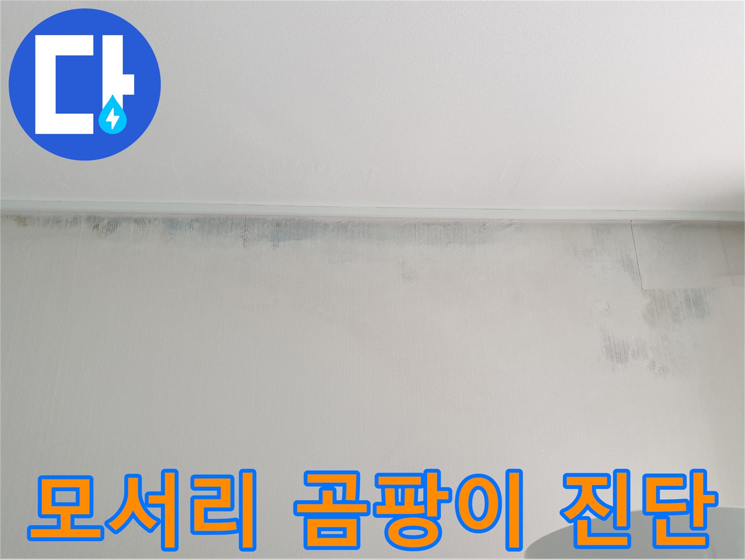 중계3동 청구3차 아파트 - 벽 모서리 곰팡이 누수 진단