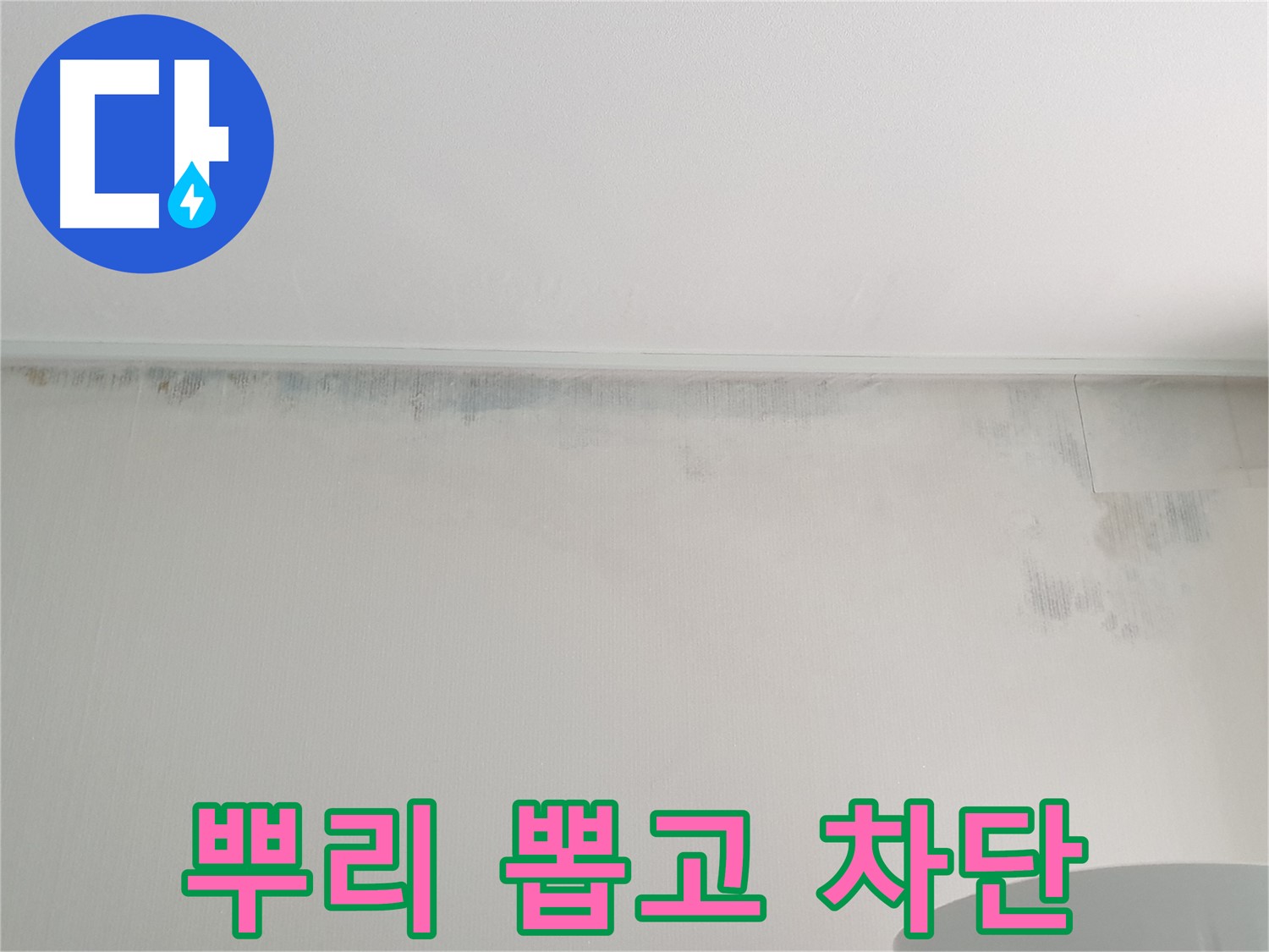 중계동 아파트 곰팡이 - 뿌리 뽑고 누수 완벽 차단