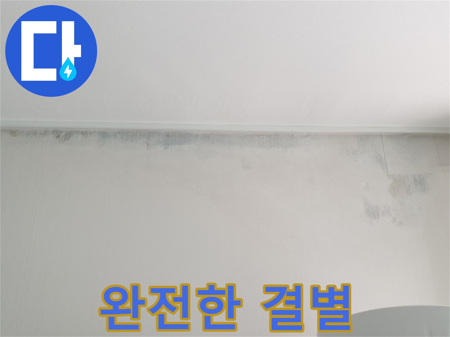 중계동 아파트 곰팡이 - 완전한 결별 선언