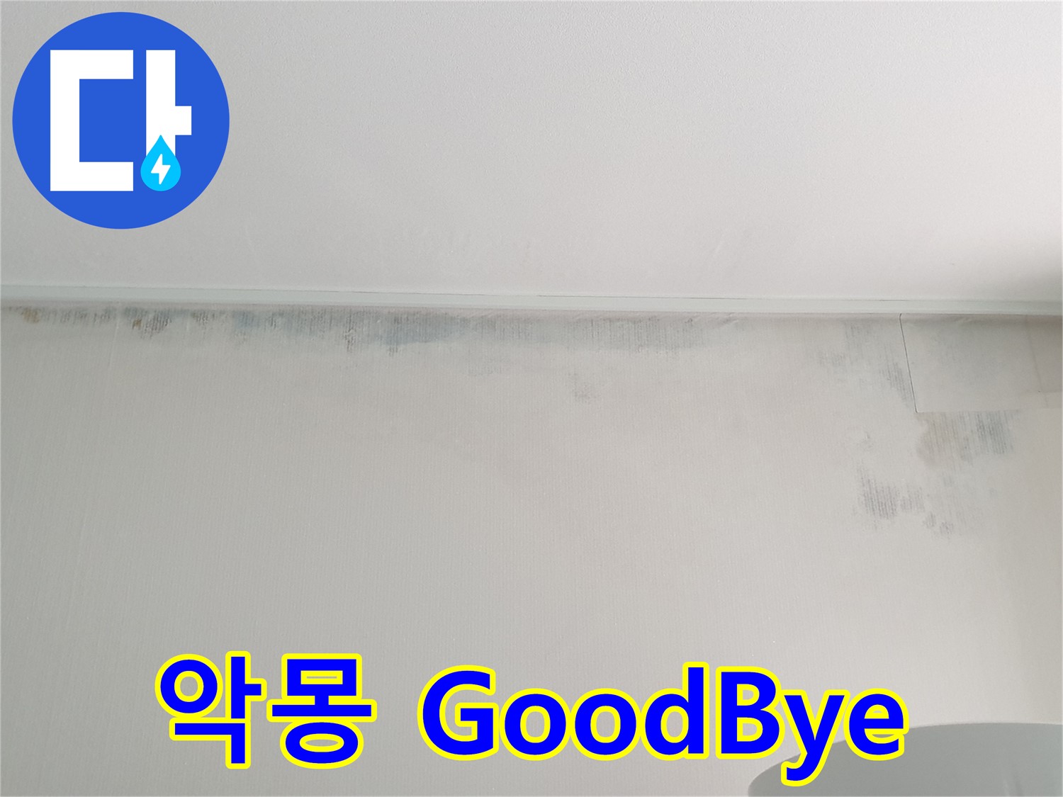 중계동 청구3차 곰팡이 - 악몽 GoodBye