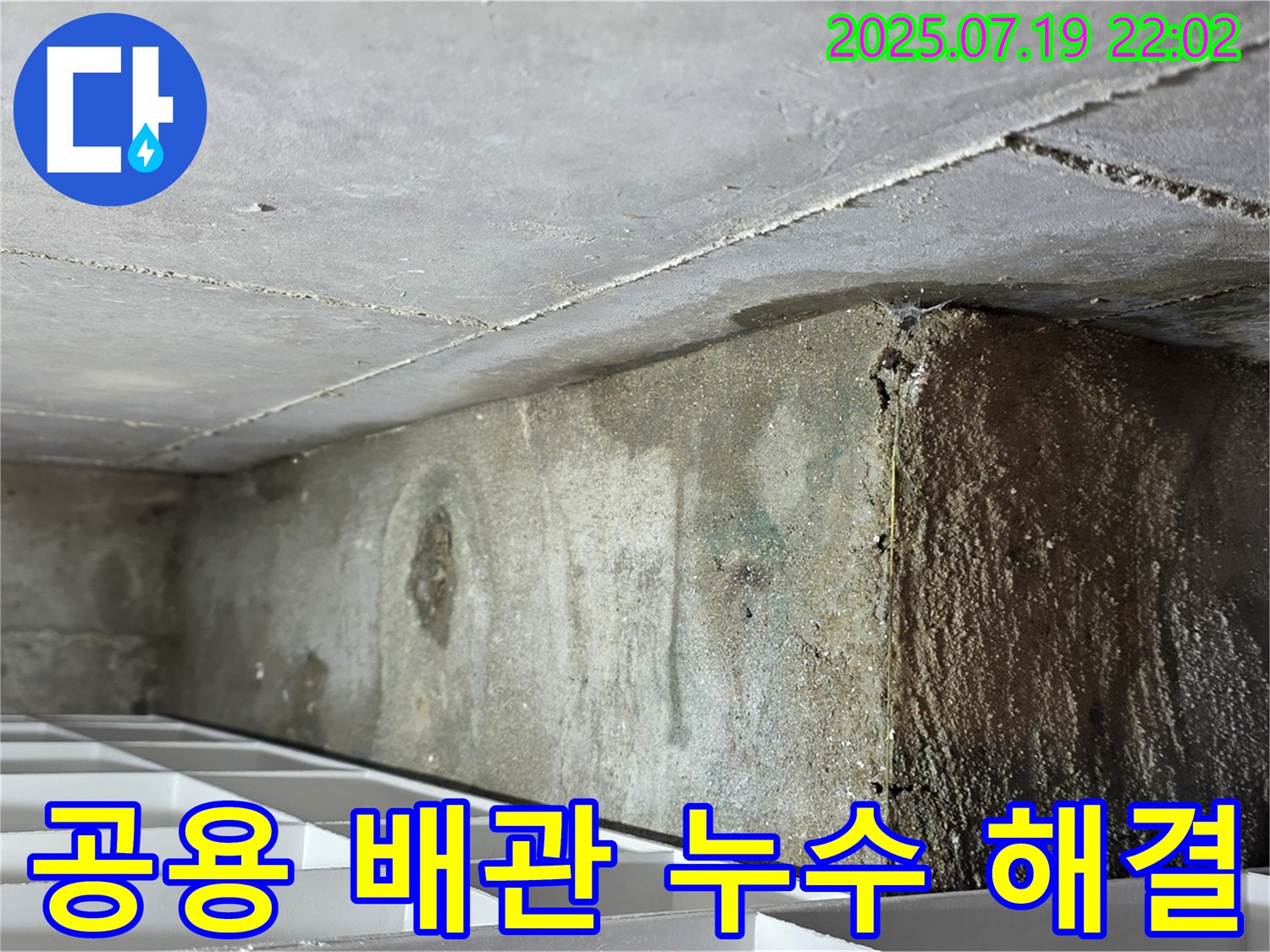 김포 장기동 아파트 누수 - 화장실 천장 누수, 공용 배관 문제 해결 과정