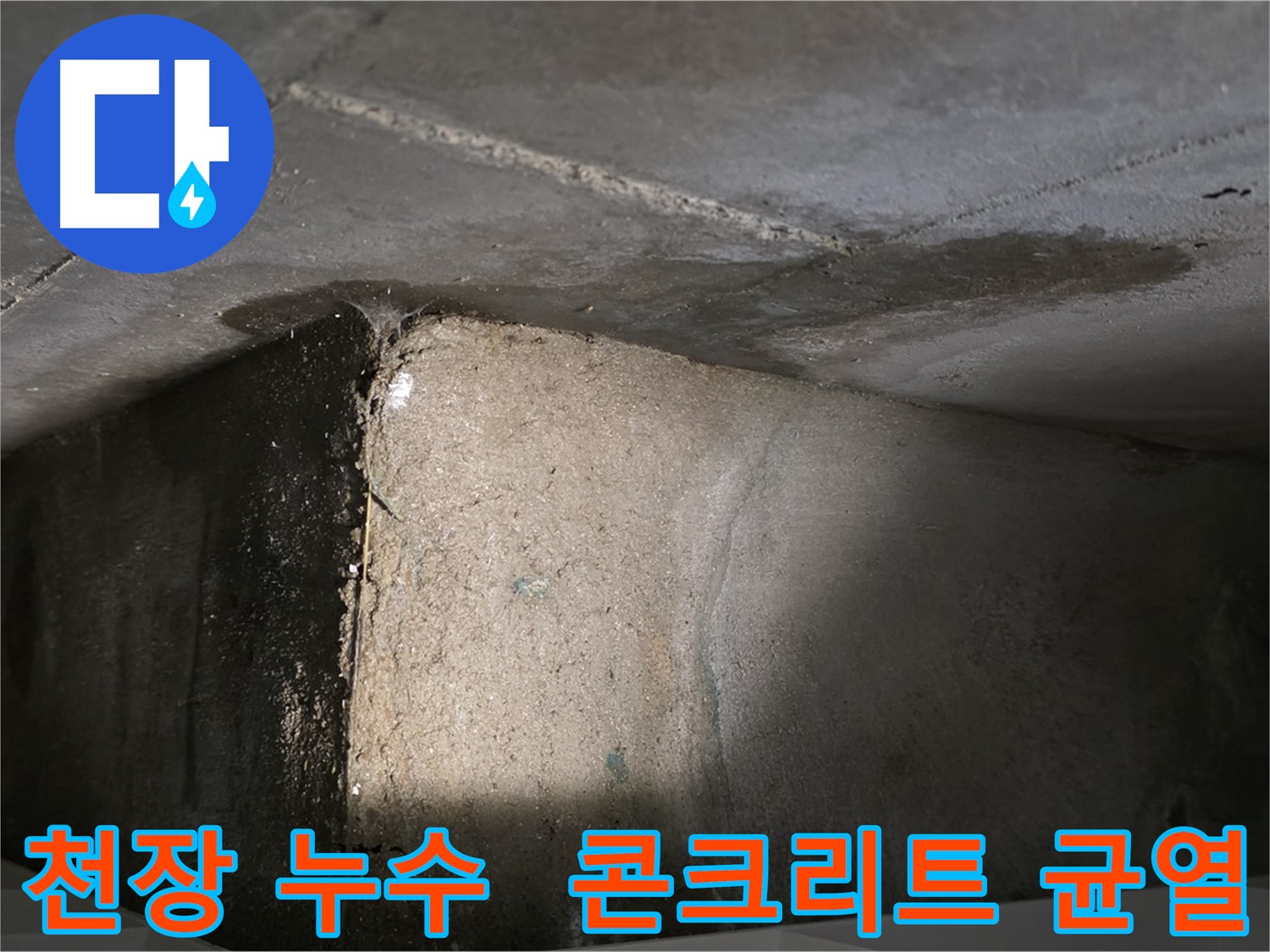 김포 장기동 아파트 천장 누수 - 콘크리트 균열로 인한 누수 발생 지점 확인