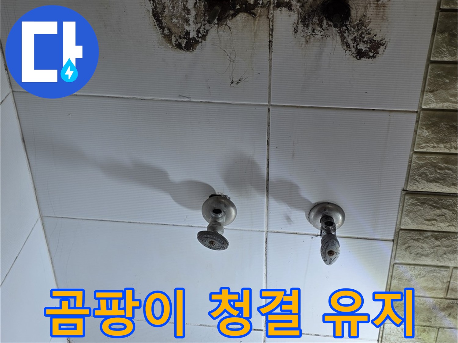 노원구 상계동 곰팡이 심한 욕실 - 누수 문제를 해결하고 청결하게 유지하는 방법을 알려드립니다.
