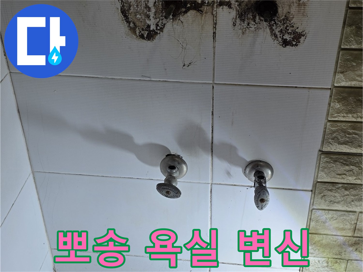 노원구 상계동 곰팡이 심한 욕실 - 누수 해결 후 뽀송뽀송한 욕실로 변신시켜 드립니다.