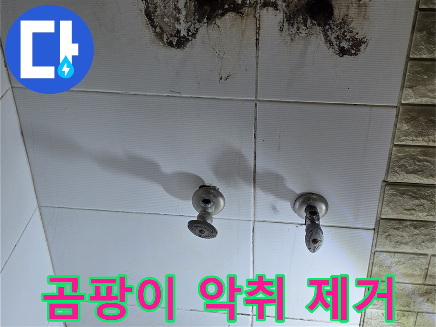 상계동 빌라 욕실 곰팡이 악취 - 누수 원인을 해결하고 곰팡이 냄새까지 완벽하게 제거해 드립니다.