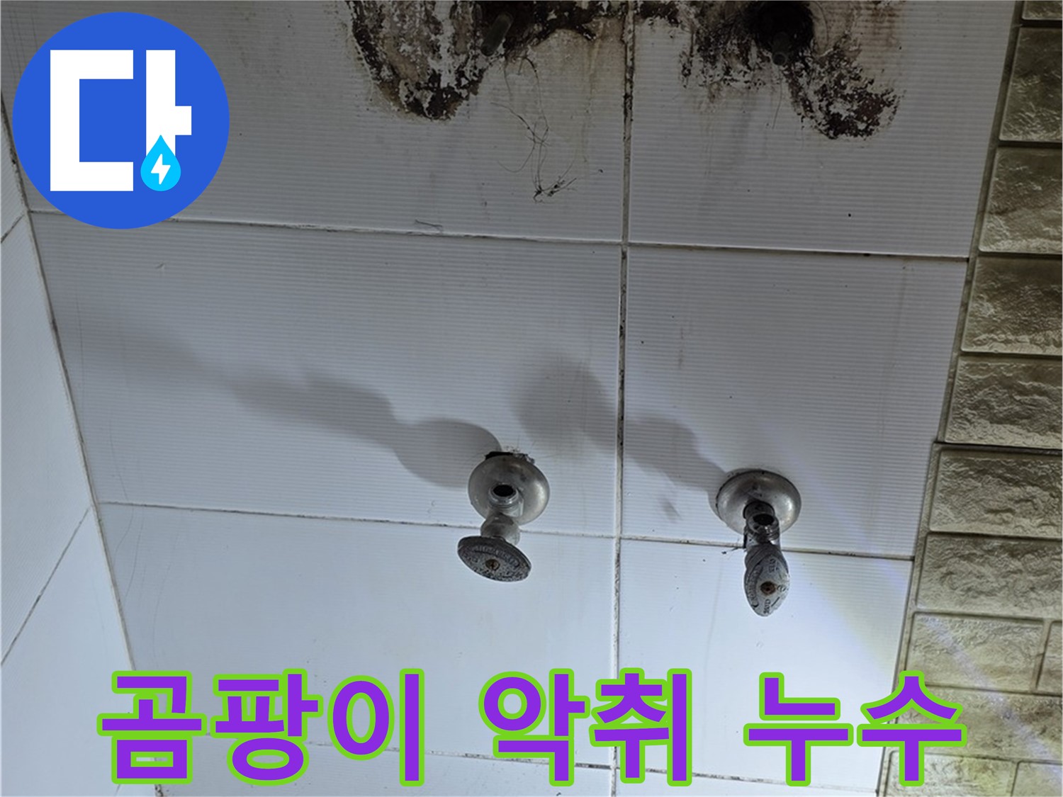 상계동 빌라 욕실 곰팡이 악취 - 누수 원인을 해결하고 곰팡이 냄새까지 완벽하게 제거해 드립니다.