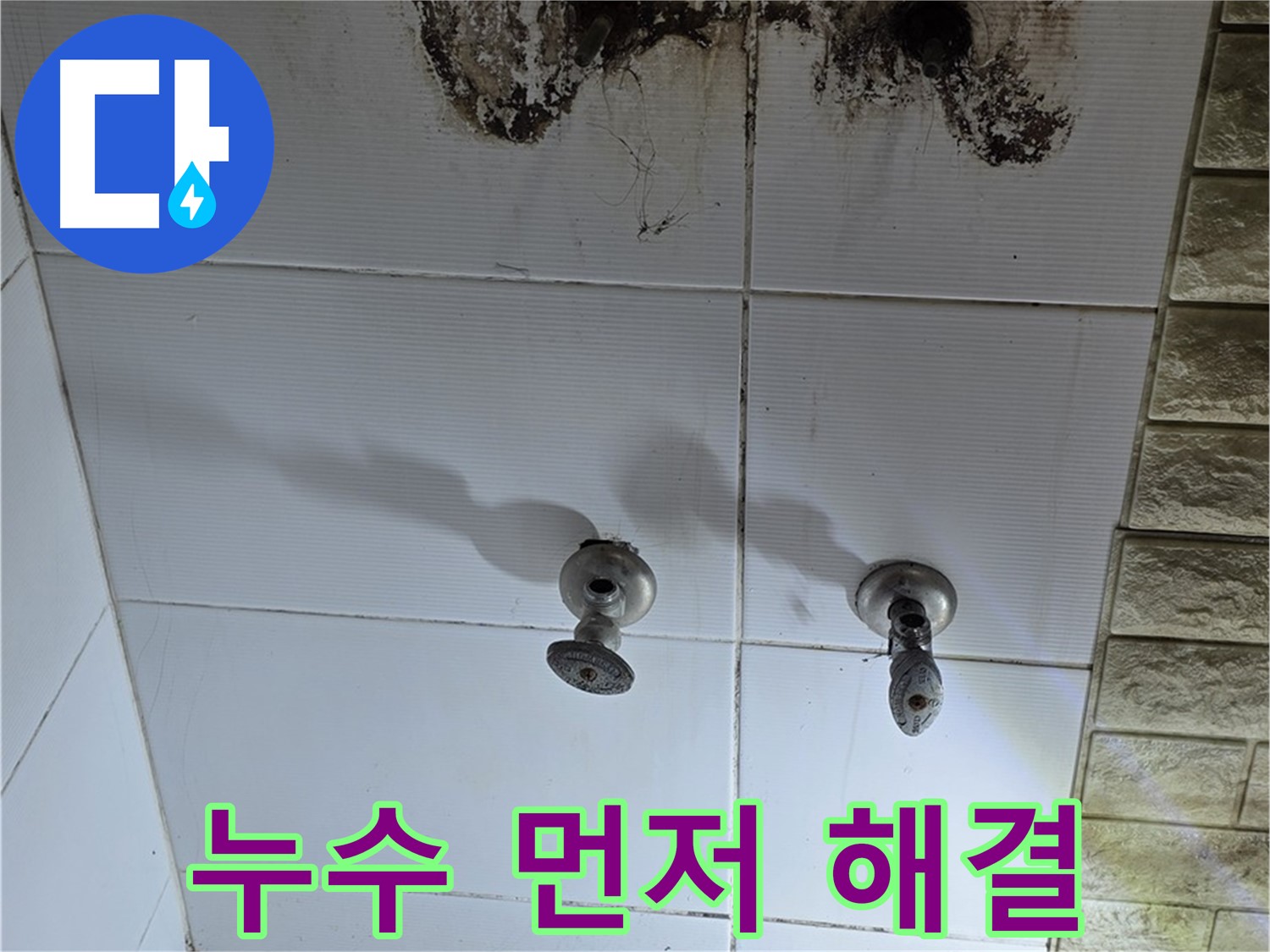 상계동 욕실 곰팡이 - 곰팡이 제거보다 누수 해결이 우선입니다.