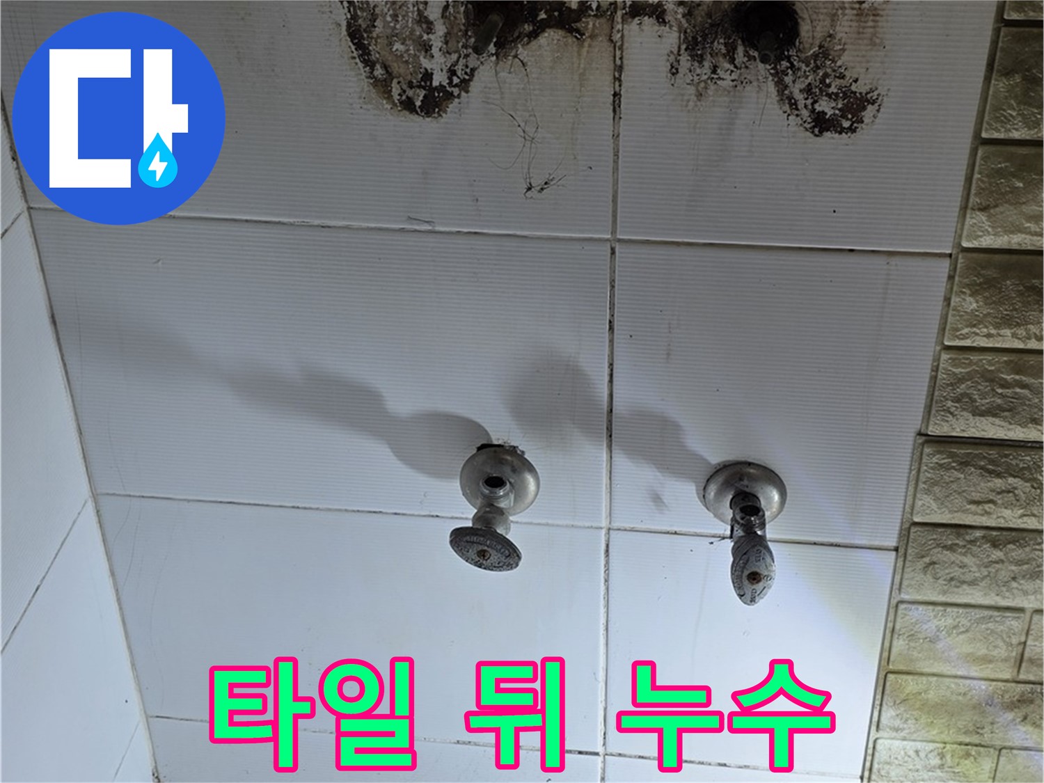 상계동 욕실 타일 뒤 누수 - 누수탐지 전문 업체에서 확실하게 해결해 드립니다.