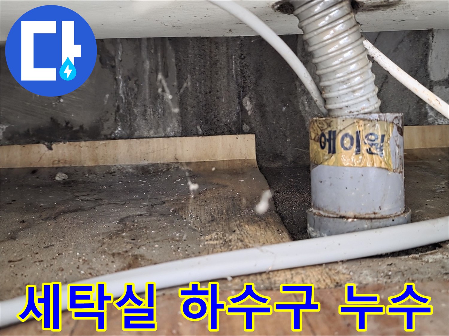남양주 진건읍 사릉리 세탁실 하수구 누수 - 누수탐지 전문 업체에서 정확하게 진단하고 해결합니다.