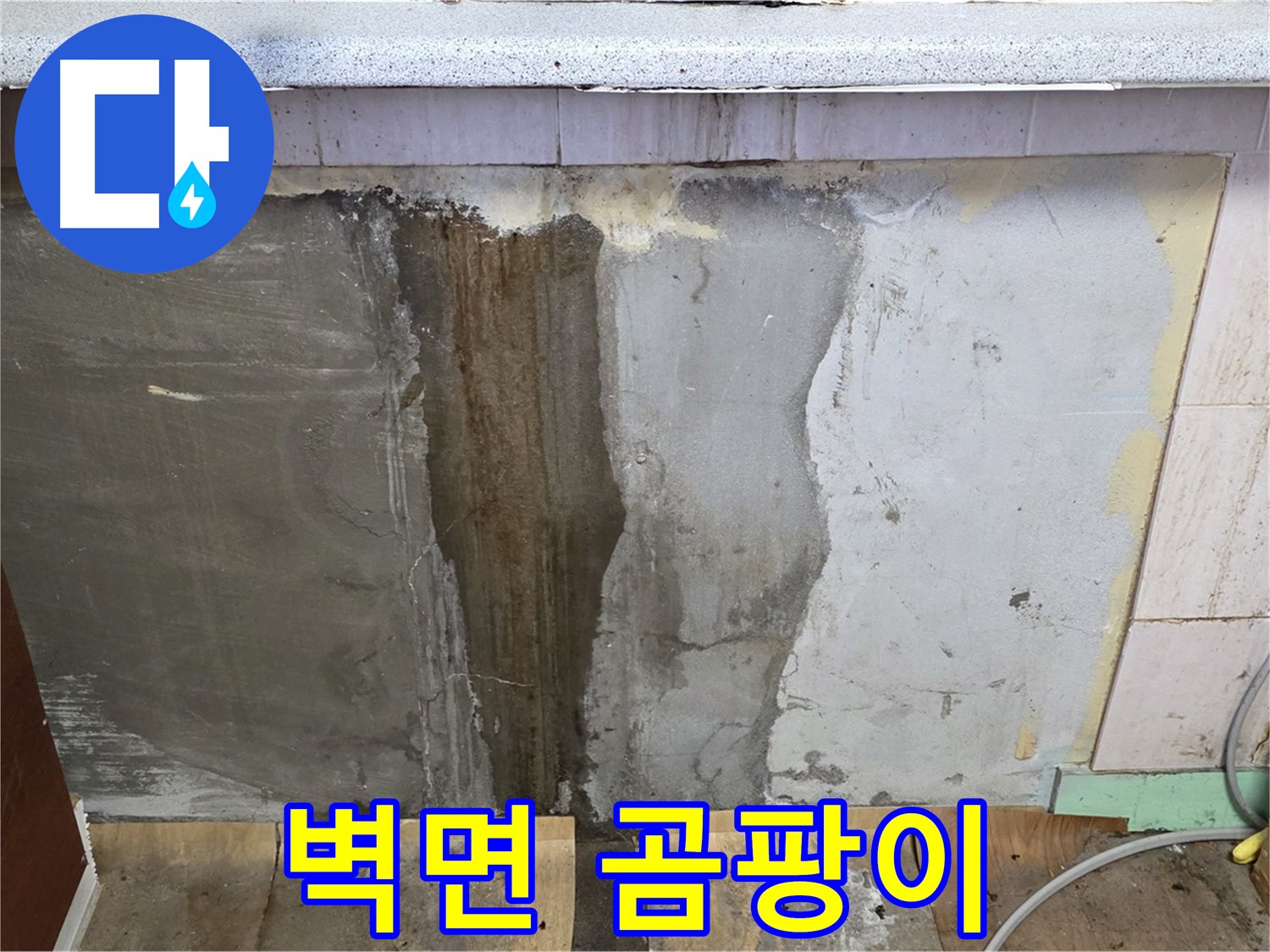 누수로 인한 벽면 곰팡이 - 벽면에 곰팡이가 발생한 모습입니다.