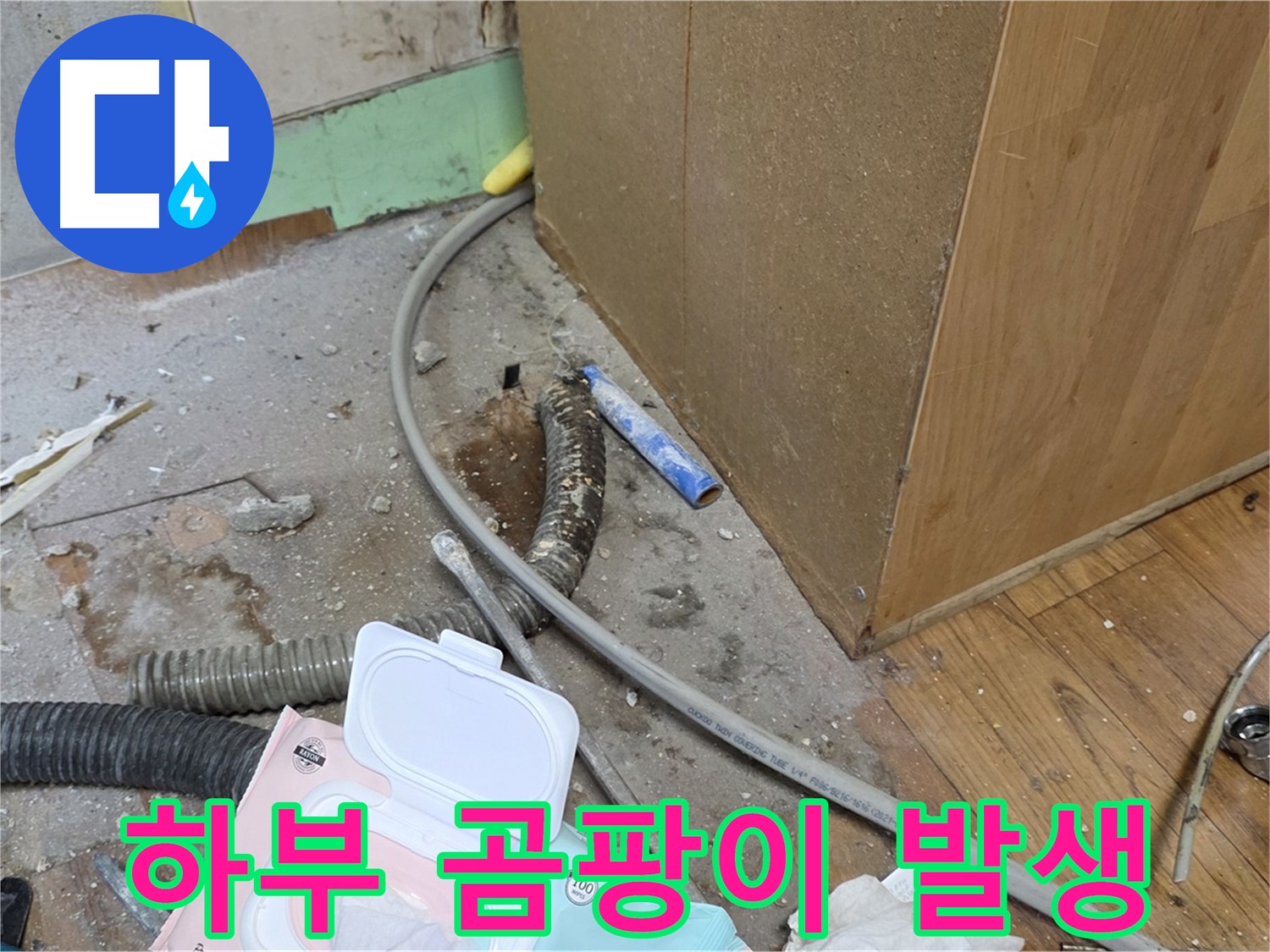 하부 곰팡이 발생 - 누수로 인해 싱크대 하부에 곰팡이가 발생했습니다.