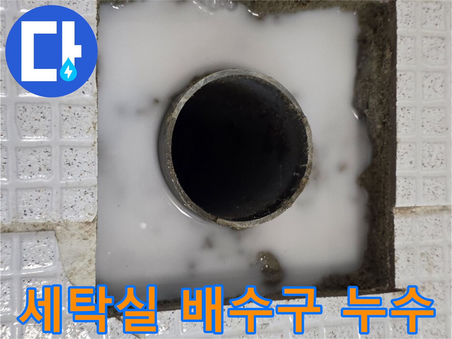 과천 문원동 세탁실 누수 현장 - 배수구 주변 누수 상황