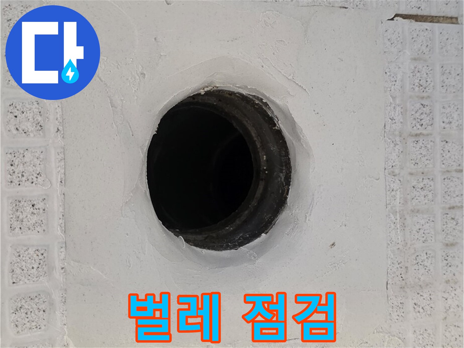 과천 문원동 욕실 누수 - 배수구 주변 벌레 출몰, 누수 관련성 점검
