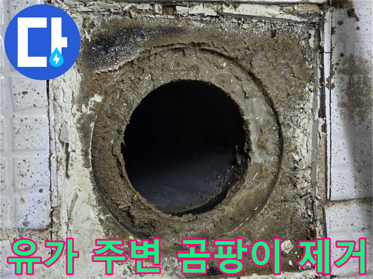 과천시 문원동 욕실 누수로 인한 유가 주변 곰팡이 제거 및 방수 작업 사진
