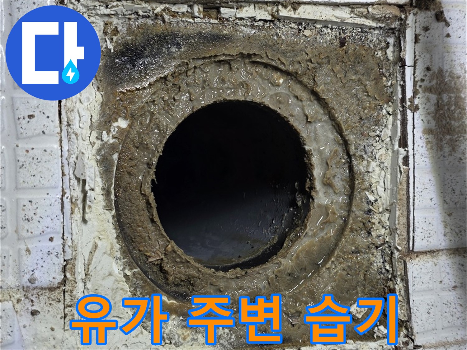 과천시 문원동 - 욕실 유가 주변 습기, 지속적인 누수 의심으로 점검 필수