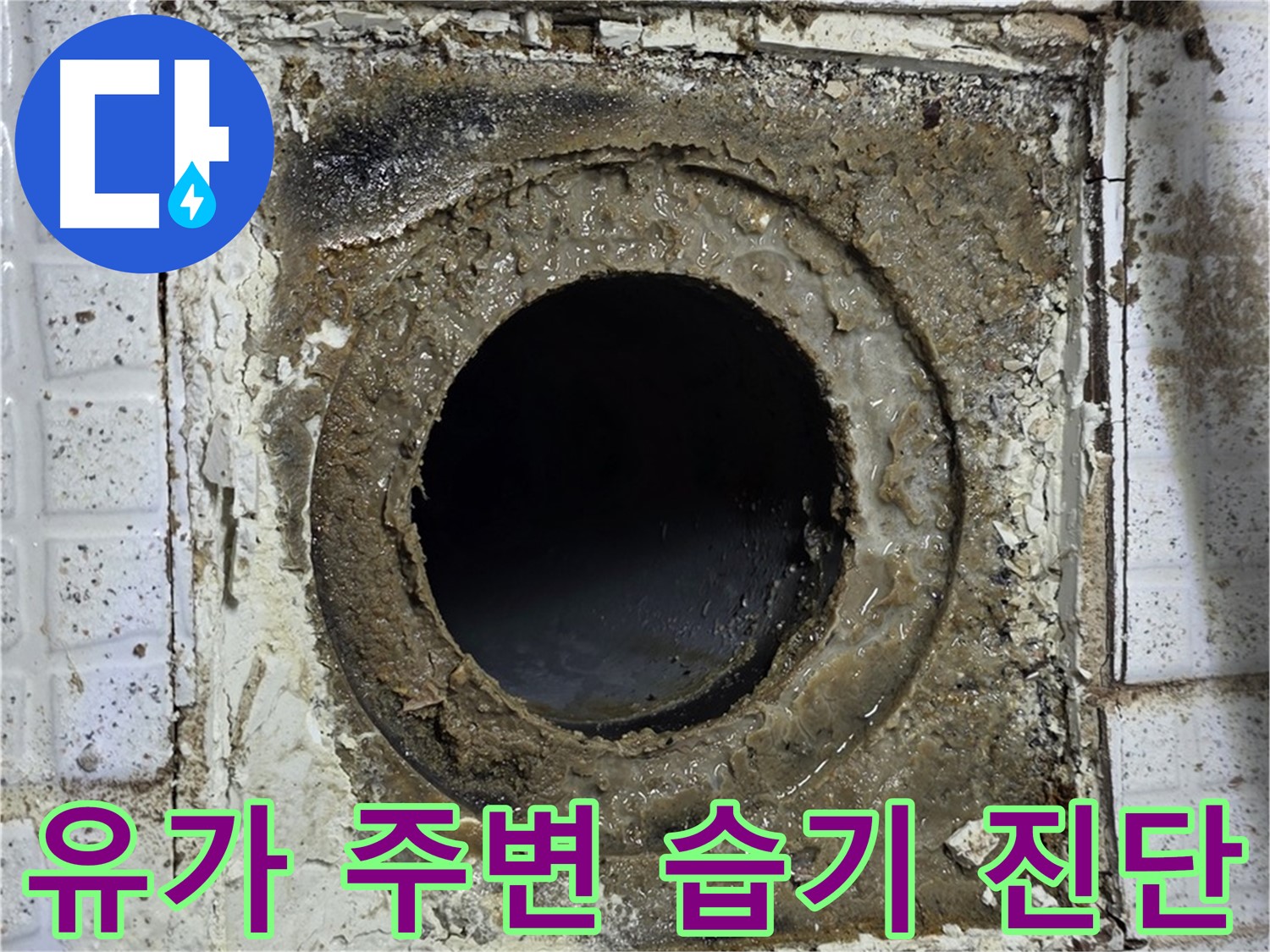 세인트빌 누수 점검 - 유가 주변 습기 및 누수 진단