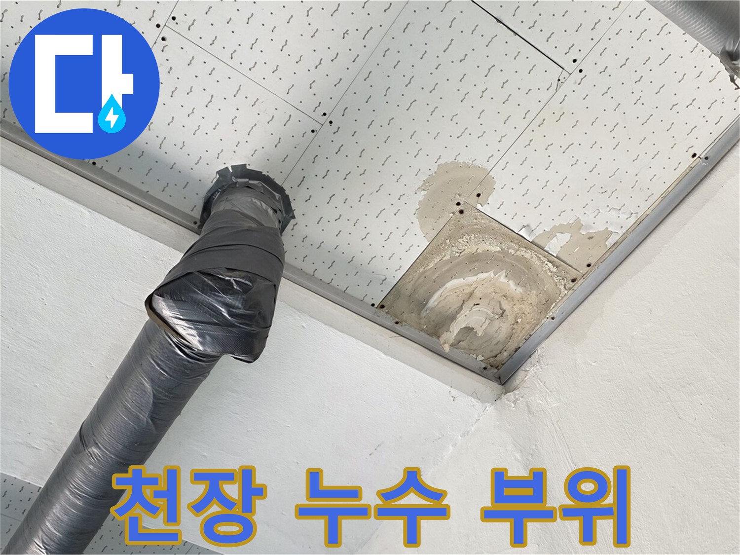 천장 누수 부위 - 천장 석고보드가 젖어 처진 모습으로 누수의 심각성을 보여줍니다.