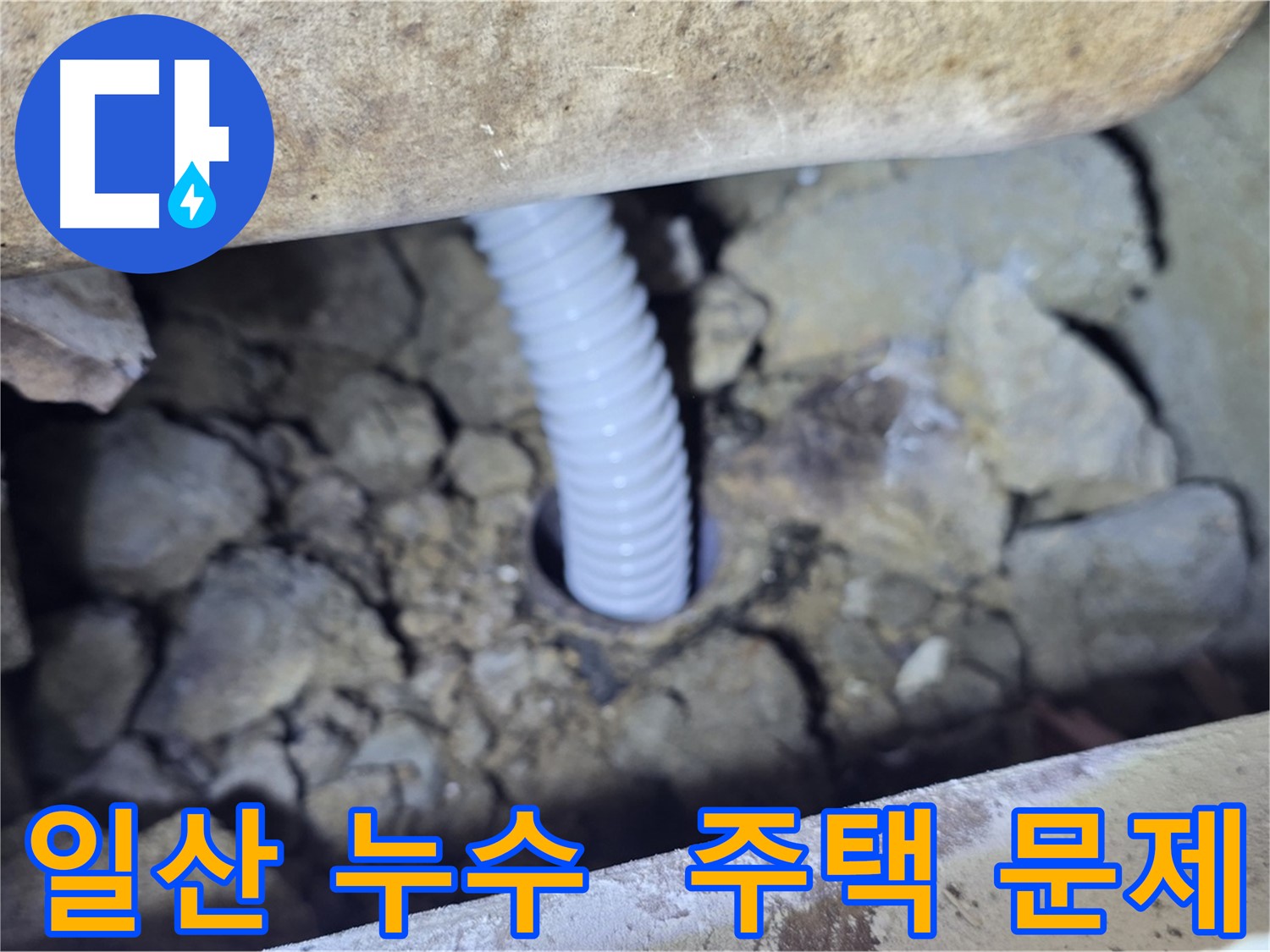 일산 가좌동 주택 누수 - 문제 해결 전문 업체의 신속한 대응