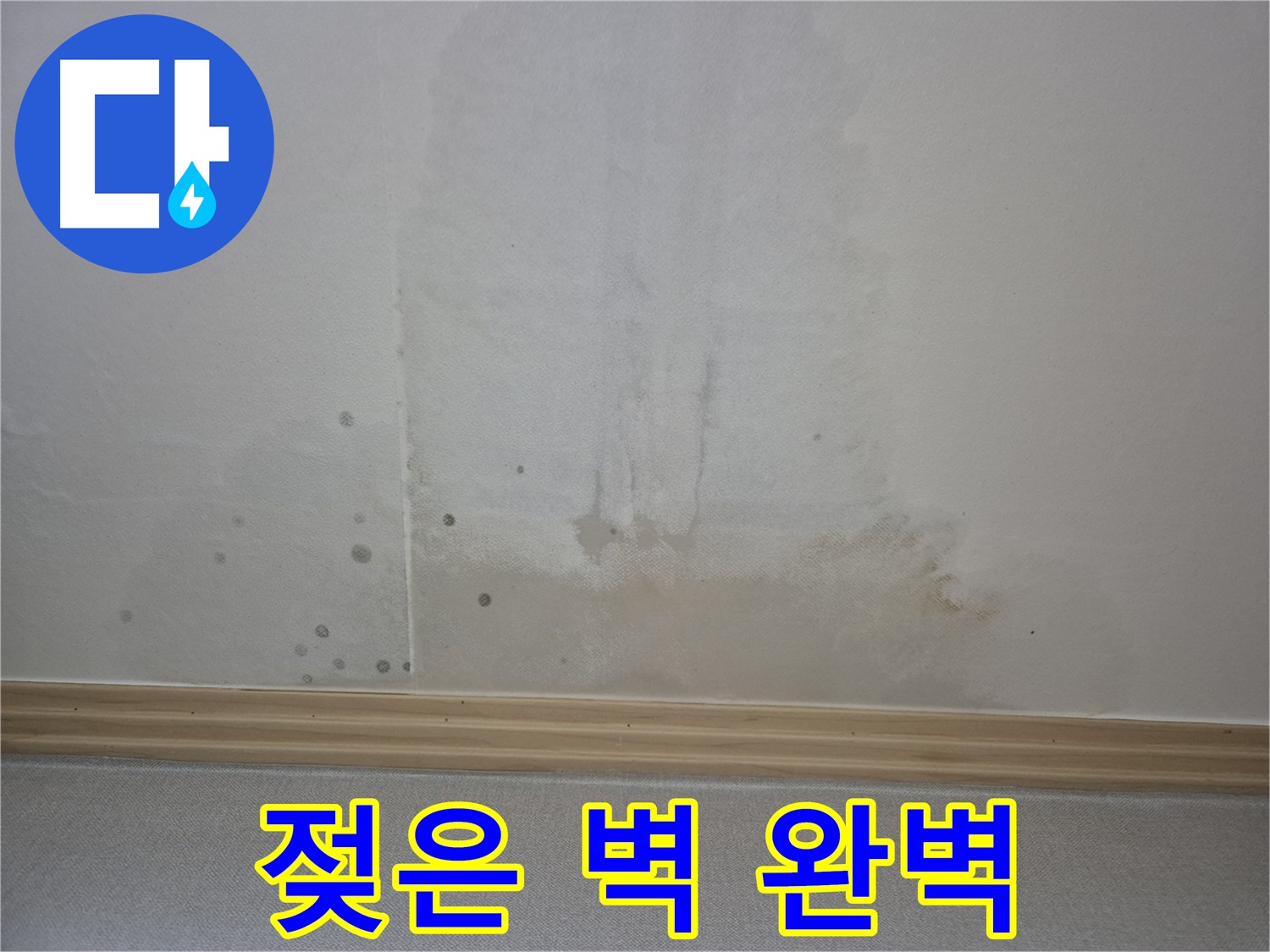 젖은 벽 완벽 해결 - 숙련된 기술로 완벽하게 시공하는 모습