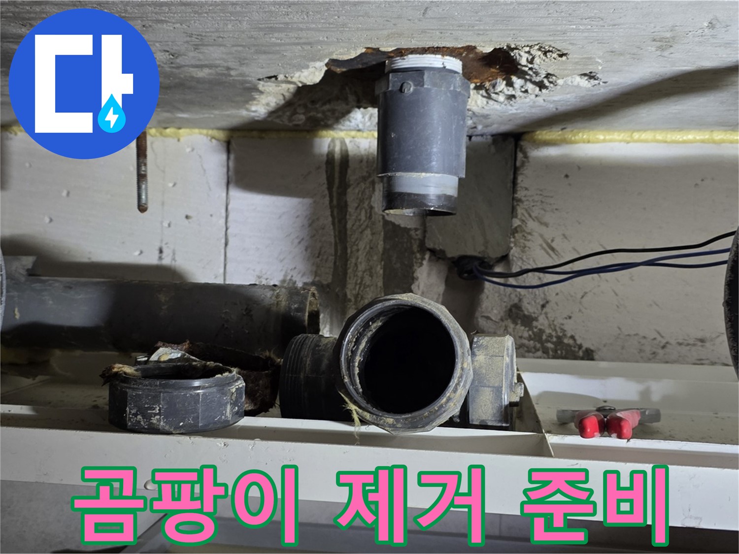 곰팡이 제거 장비 준비 - 꼼꼼한 청소 준비 - 누수 해결