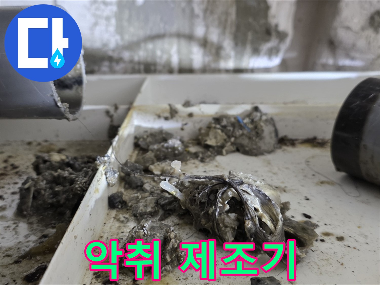 노원구 중계동 라이프청구신동아아파트 - 배관 속 악취 제조기 제거 - 쾌적한 환경