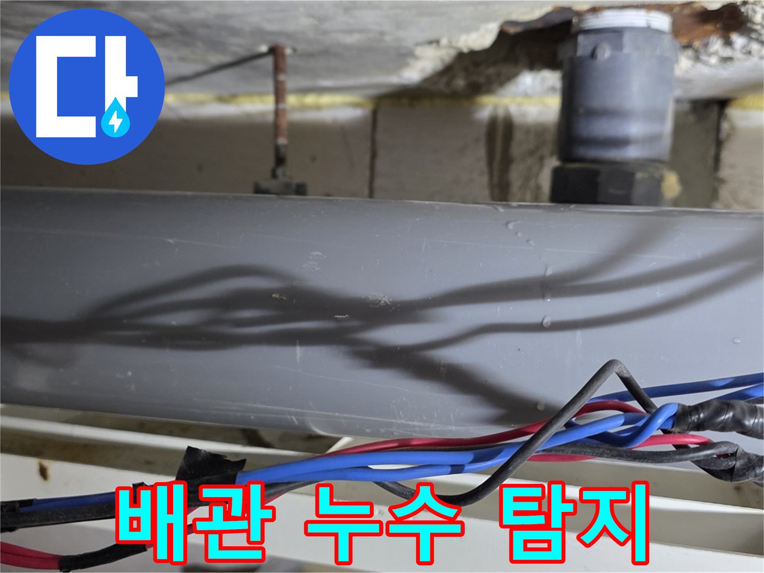 중계동 라이프청구신동아 아파트 배관 누수 탐지 - 노원구 누수 탐지 전문 기술로 숨은 누수까지 찾아냅니다.