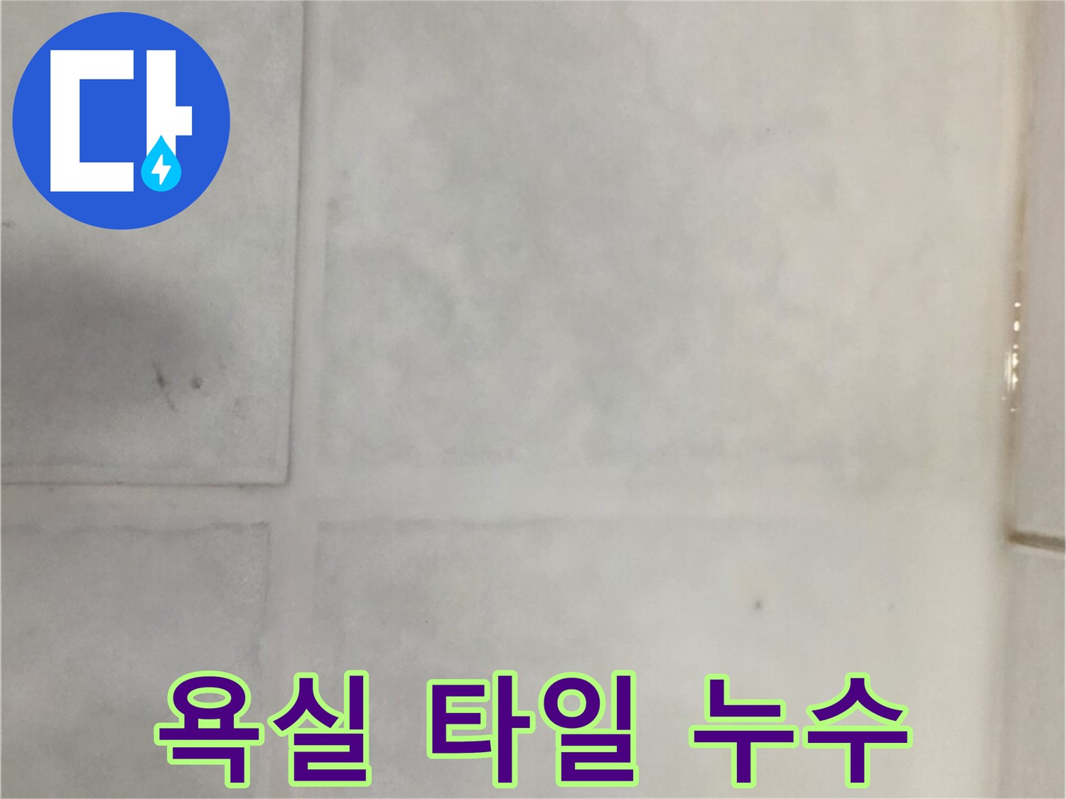 과천 누수 해결 - 오래된 욕실 타일 누수 완벽 차단