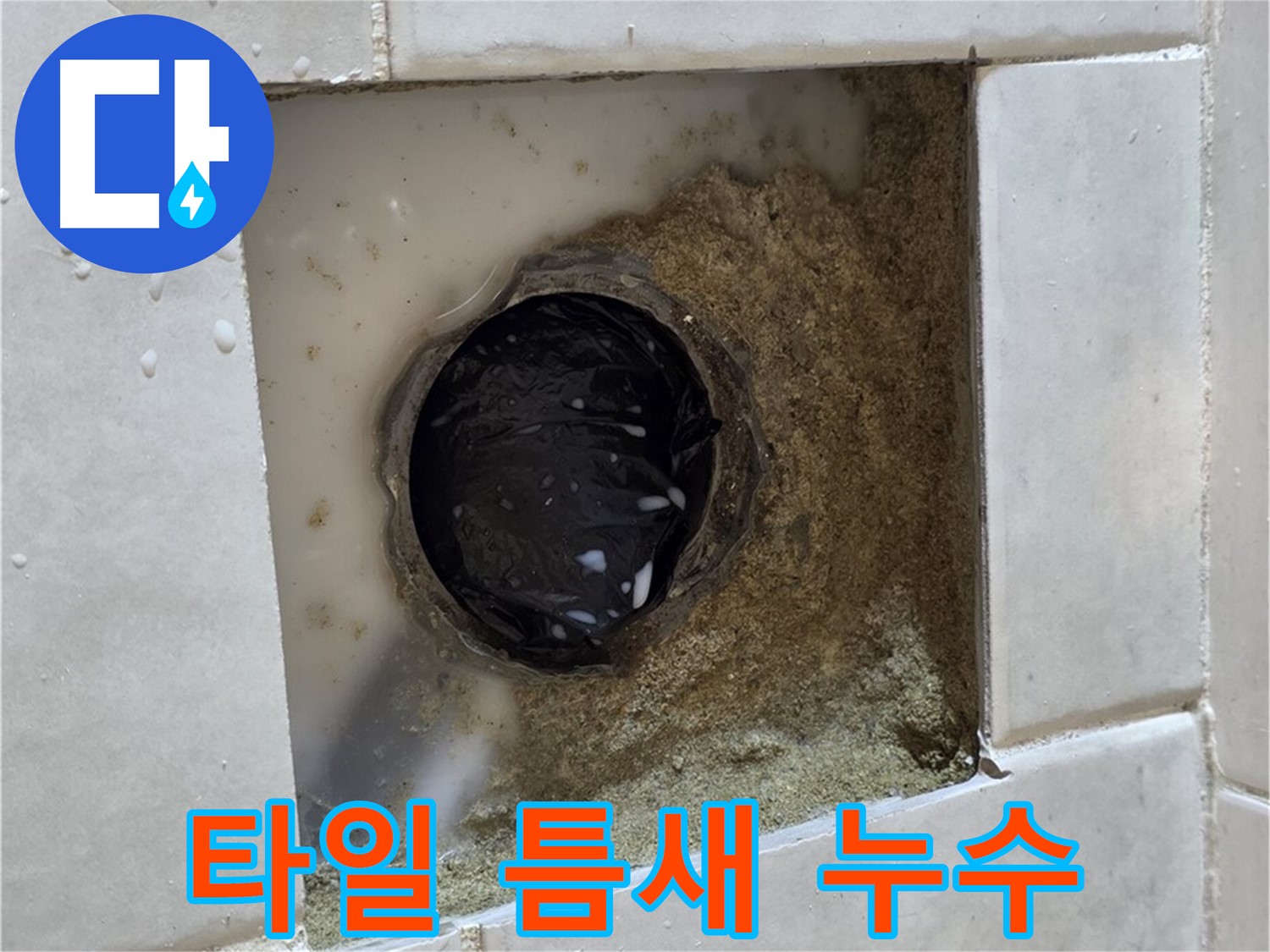 과천 문원동 욕실 바닥 타일 틈새 누수 - 젖은 타일과 곰팡이, 꼼꼼한 시공으로 해결