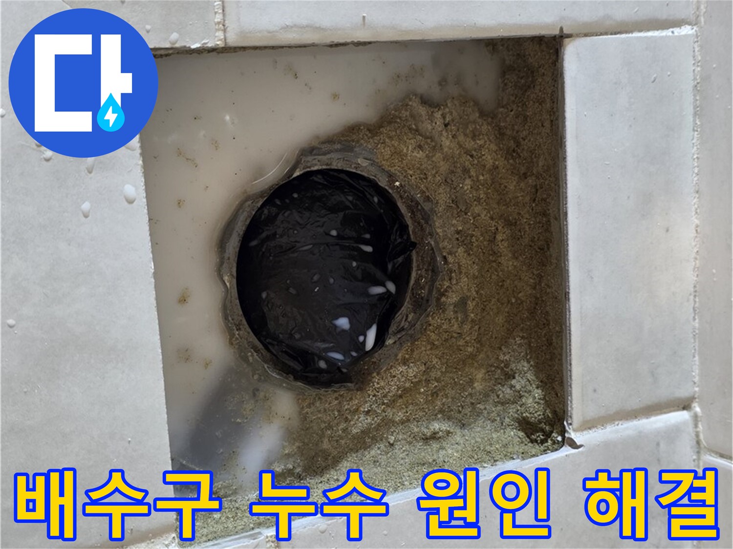 과천 문원동 욕실 배수구 누수 - 낡은 배수구와 주변의 습기, 정확한 원인 파악과 완벽한 해결