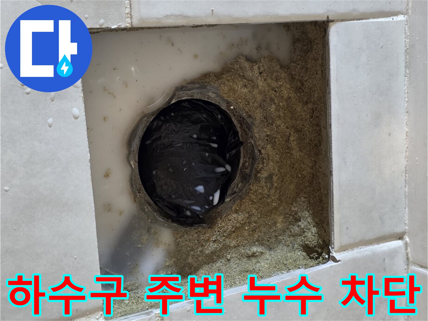 과천 문원동 욕실 하수구 주변 누수 - 낡은 하수구 주변의 물기, 신속한 누수 진단과 완벽한 차단