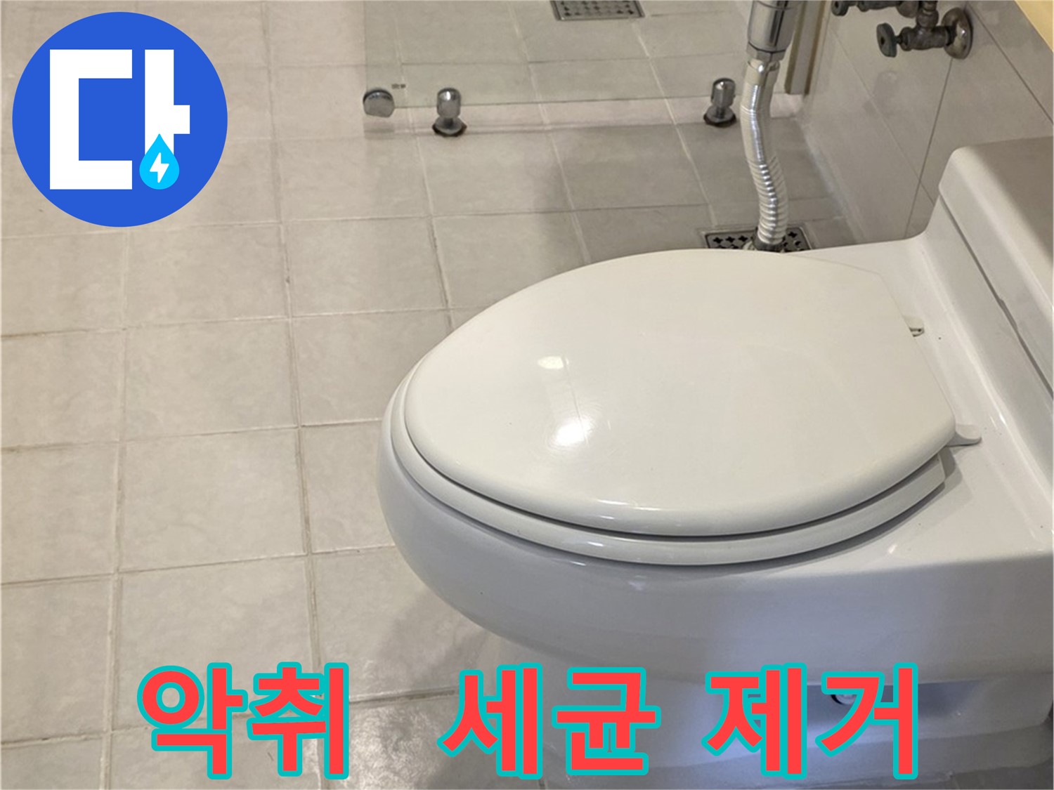 과천 변기 교체 - 악취 및 세균 제거 후 새 변기 설치
