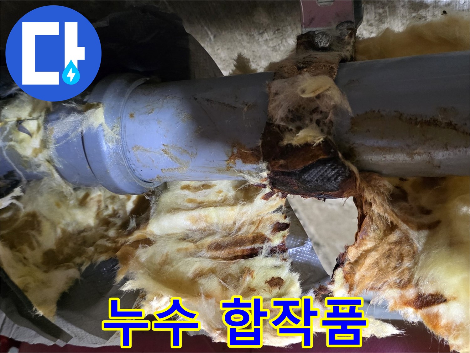 남양주 화도읍 두산아파트 누수 - 낡은 배관에서 누수가 발생하고 곰팡이가 피어난 마지막 눈물의 합작품입니다.