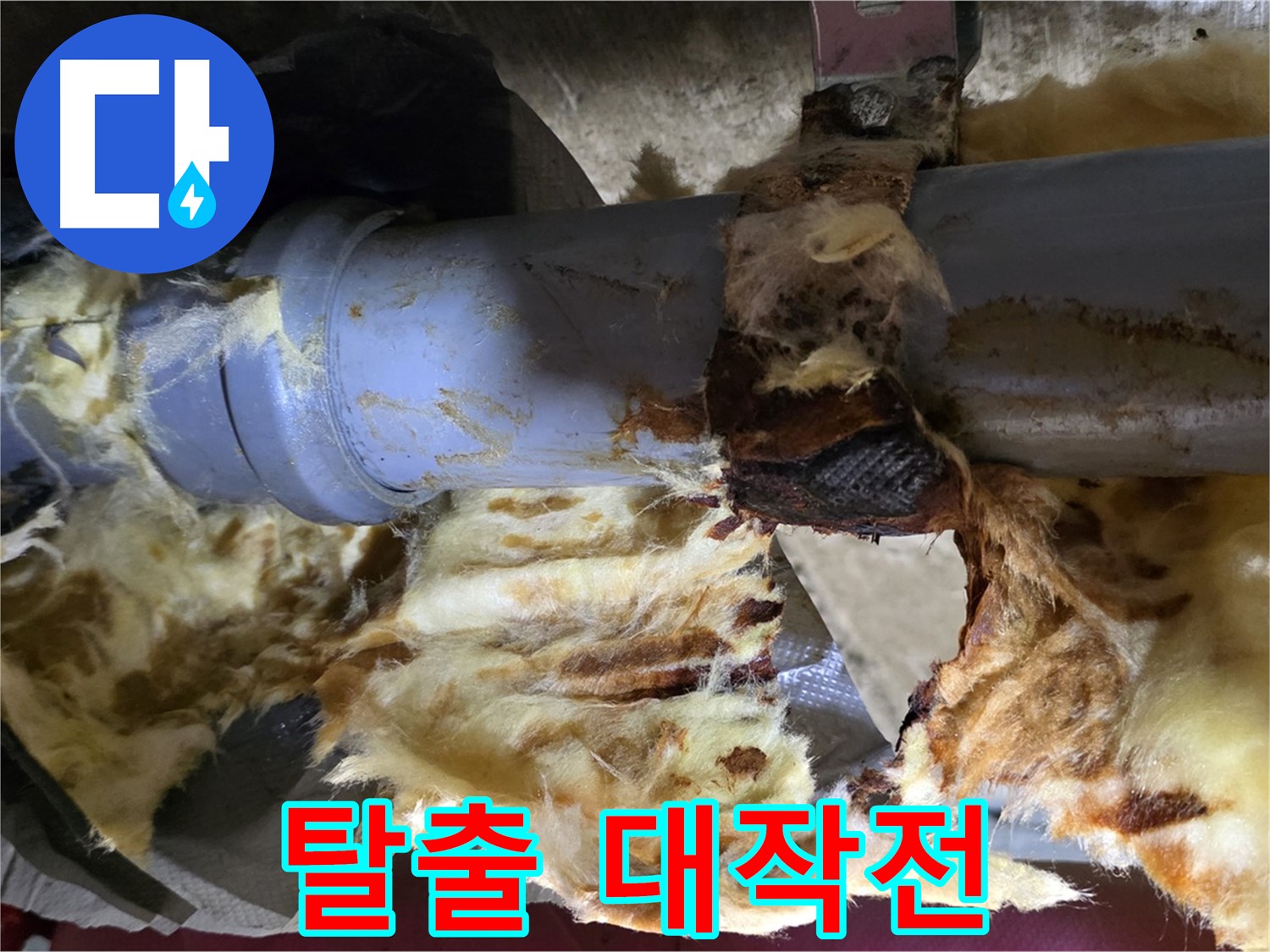 두산아파트 누수 - 낡은 배관, 곰팡이, 젖은 단열재 3가지 고통에서 탈출하는 대작전을 시작합니다.