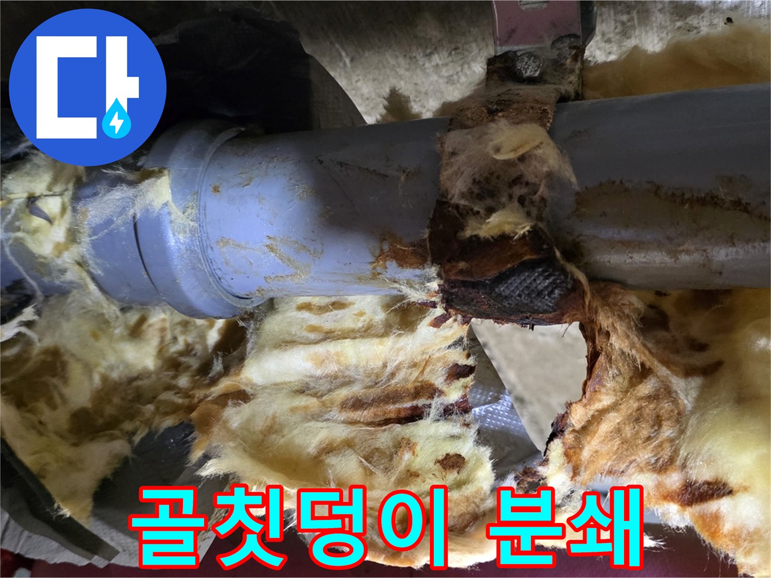 두산아파트 누수 - 낡은 배관, 곰팡이, 젖은 단열재 3가지 골칫덩이를 완전 분쇄했습니다.