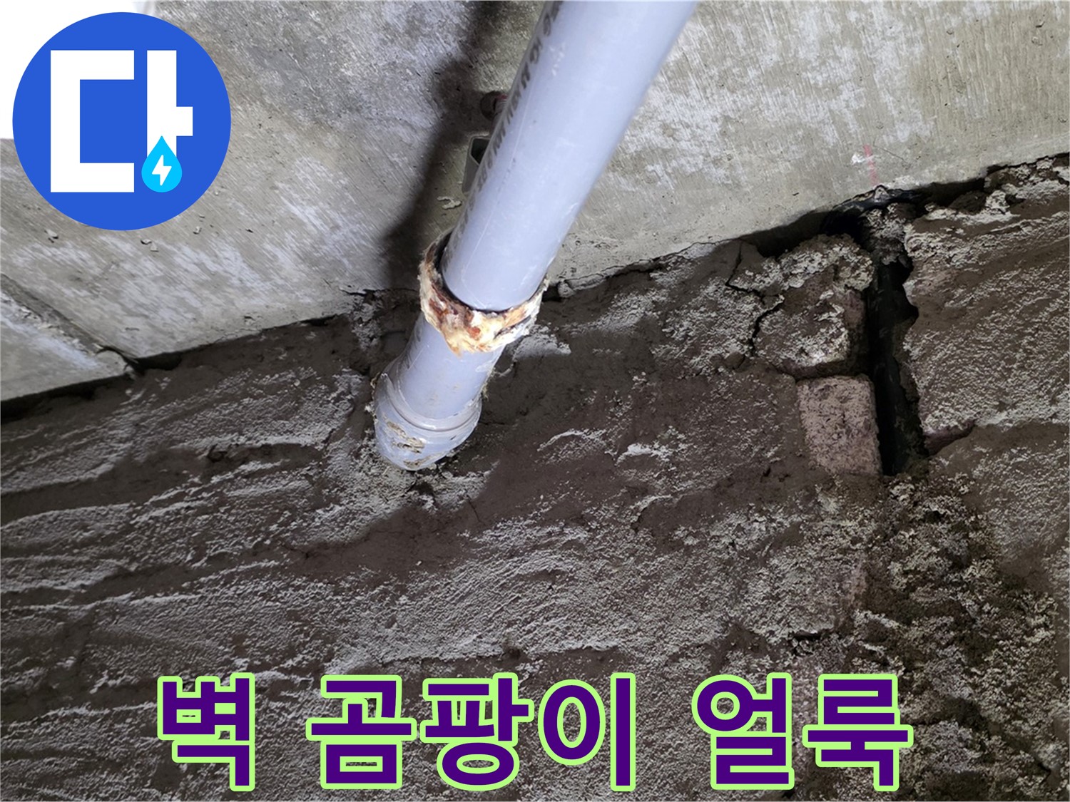 벽에 생긴 곰팡이와 물 얼룩 - 두산아파트 누수